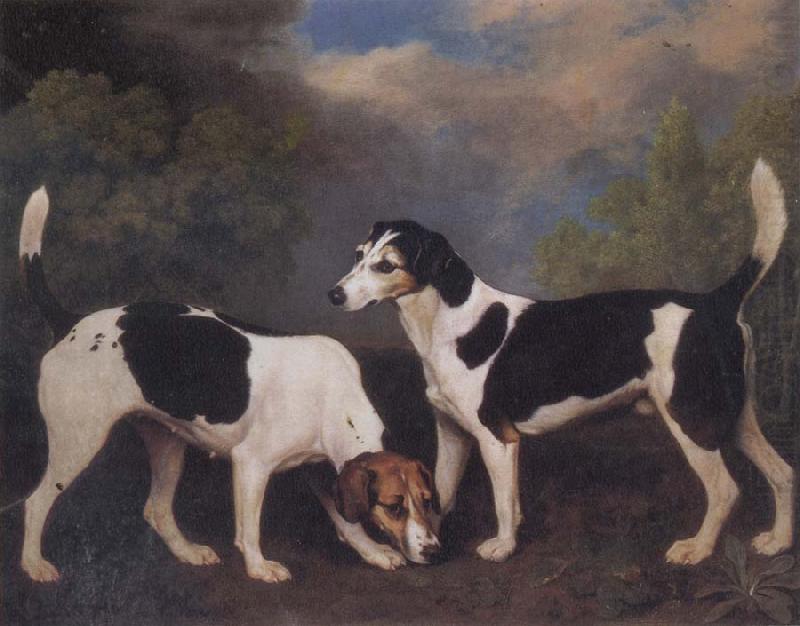 George Stubbs A Couple of Foxhounds china oil painting image